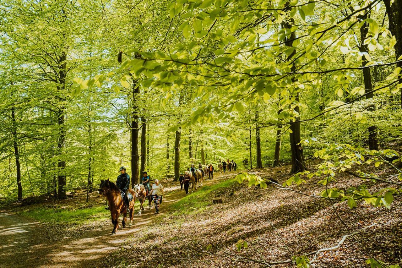 Lill Hagahus, Soederasens Nationalpark Villa Kågeröd Dış mekan fotoğraf